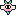 Cottonfly